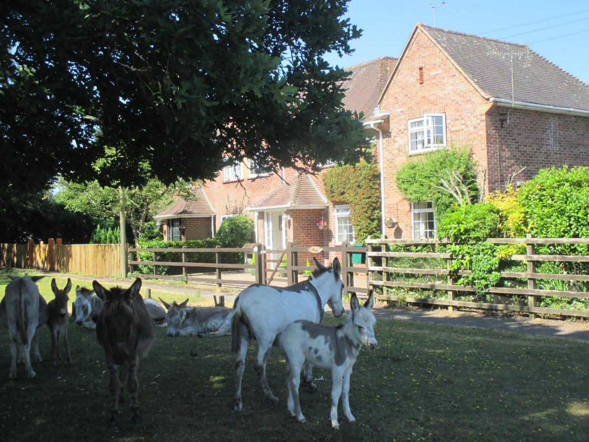 Hops Main House, Brockenhurst, New Forest Villa Esterno foto