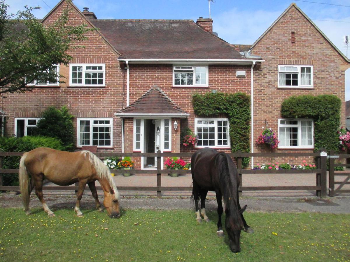 Hops Main House, Brockenhurst, New Forest Villa Esterno foto