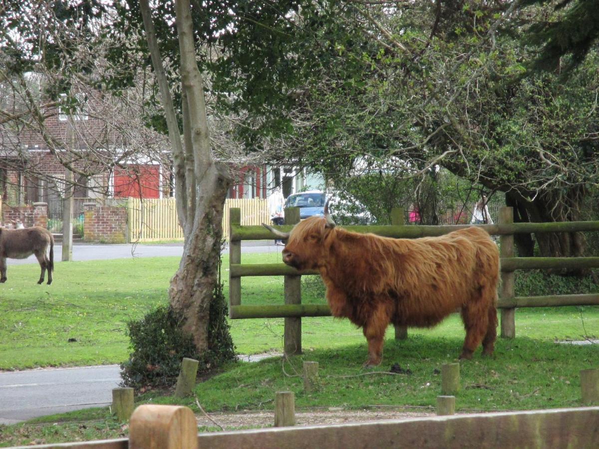 Hops Main House, Brockenhurst, New Forest Villa Esterno foto