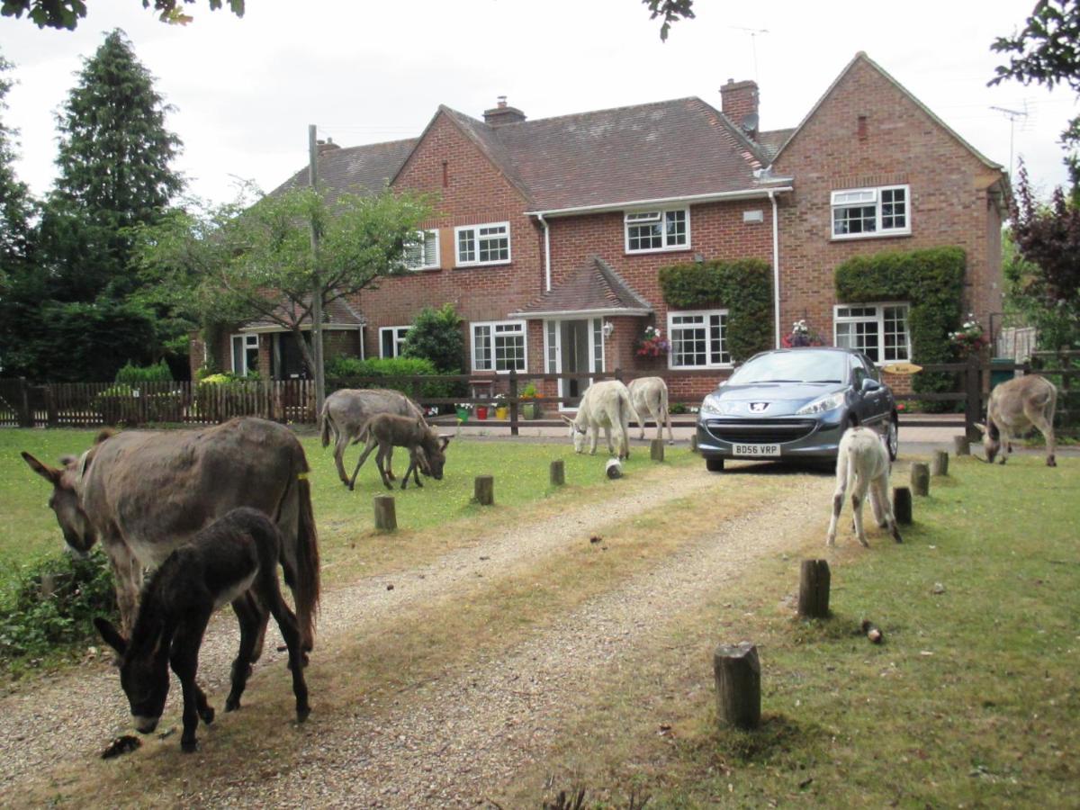 Hops Main House, Brockenhurst, New Forest Villa Esterno foto